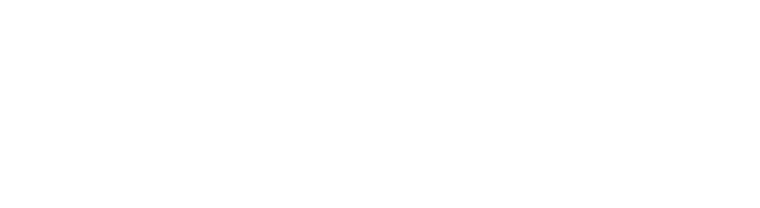 The University of North Carolina Chapel Hill